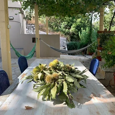At South Chania * Grigoriana