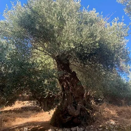 Holiday home At South Chania *